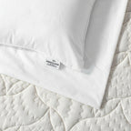 Pillow Protector - Elbadrawi Home